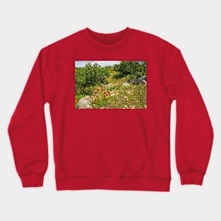 Olive Trees and Wild Flowers on Brac, Croatia Crewneck Sweatshirt